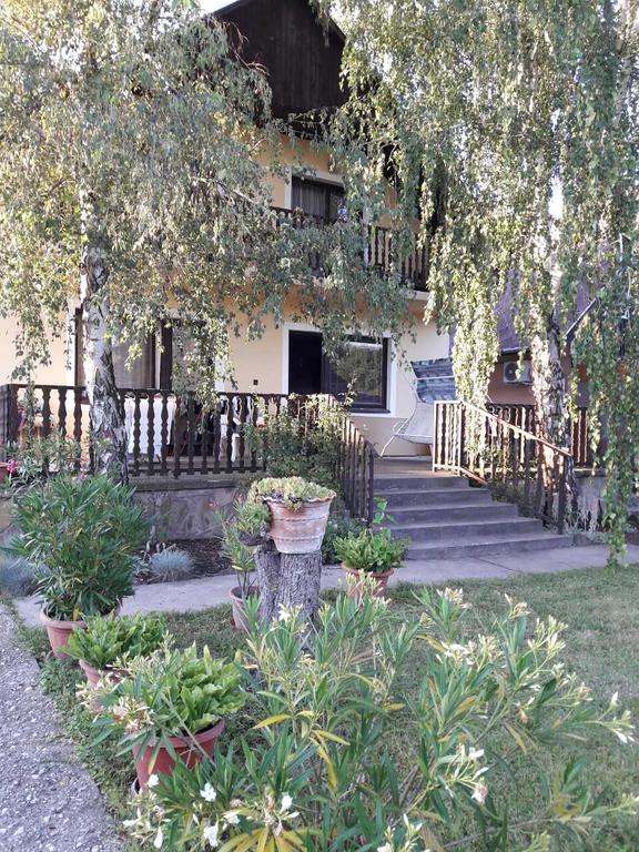 מלון קסזטלי Toldi Apartman מראה חיצוני תמונה